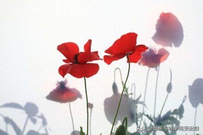 ​英语单词“ultimate”速学秘籍，你Get了吗？