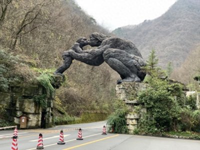 ​湖北神农架深处到底藏着什么秘密，为什么称为生命的禁区。