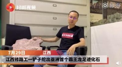 ​江西发现亚洲首例霸王龙足迹 恐龙体长或达7.5米