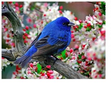 ​生活小常识-日常起居注意事项