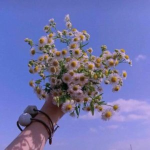 ​一组很美的壁纸:原宿风