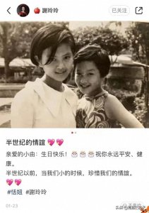 ​谢玲玲和恬妞童年照曝光五官标致，前婆婆为维护她曾大骂王祖贤？