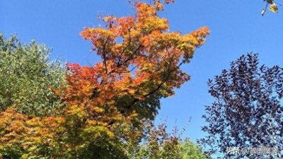 ​生死有命富贵在天，你知道后面的意思吗