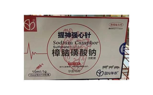 巨蟹座的户外活动:分析巨蟹座在户外活动中表现出的特点和态度 巨蟹座的户外活动:分析巨蟹座在户外活动中表现出的特点和态度