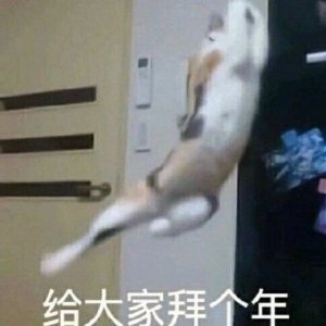 ​古风新年祝福语 最新古风唯美送给朋友的新年祝福10字