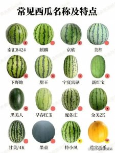 ​西瓜品种大全及特点！赶快收藏