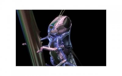 ​打过胎要告诉现在的男友吗