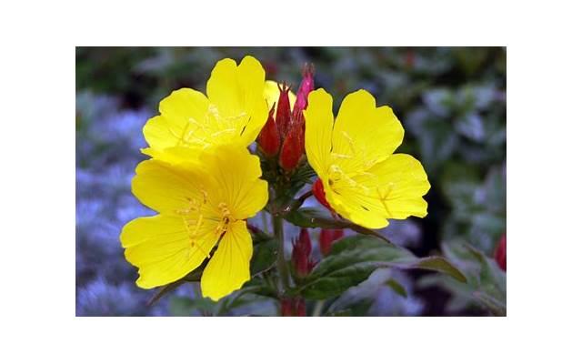 艾滋病传播方式有几种 艾滋病的传播途径有哪些 艾滋病传播方式有几种 艾滋病的传播途径有哪些