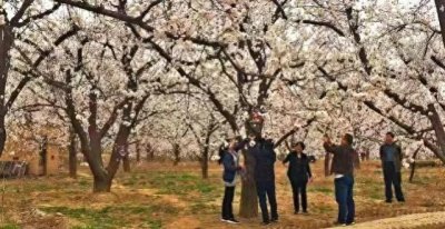 ​烟霞，一座隐在袁家村光芒里的古镇