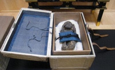 ​确认造假！日本著名美人鱼木乃伊为猴子和鱼的混合体