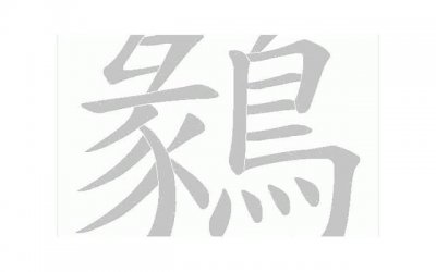 ​薛定谔的猫爱情定律