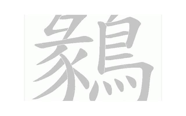 薛定谔的猫爱情定律 薛定谔的猫爱情定律