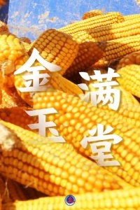 ​多彩丰收壁纸来了