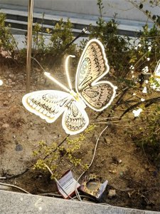 ​多年前的扑棱蛾子花灯重回济宁，只是个头有点小。