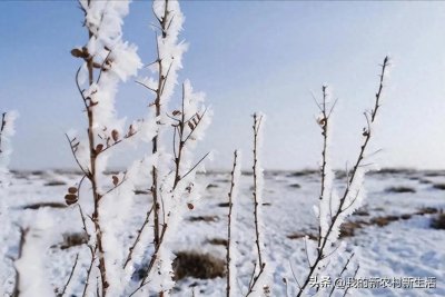 ​2025数九时间表来了，哪天入九？三九四九在什么时候？过年冷吗？