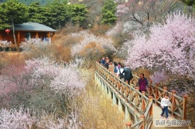 ​矿山“桃花沟”