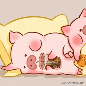 ​小猪猪情侣头像