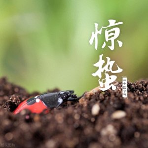 ​惊蛰将至，俗语讲：＂惊蛰食三鲜，整年病不缠＂，三鲜指什么？