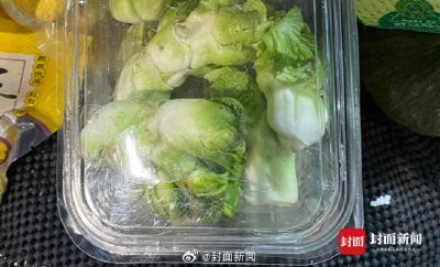 ​每天要被吃掉25吨！儿菜是成都秋冬菜品顶流