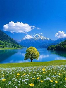 ​微信头像|风景头像有山有水，招财头像，好运头像。