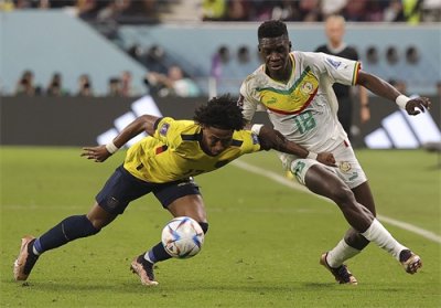 ​（卡塔尔世界杯）足球——A组：厄瓜多尔对阵塞内加尔