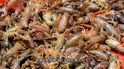 ​动手吧！岳阳小龙虾应季上市，我们帮你打探了价格（附视频）