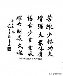 ​收藏好！珍贵的老拳谱《少林八极拳》优秀传统中华武术错过后悔