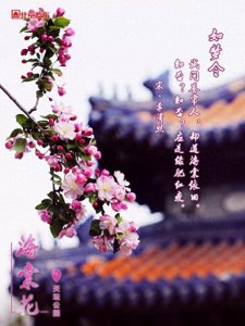 ​送你一组春天的壁纸，愿所有美好如期而至~