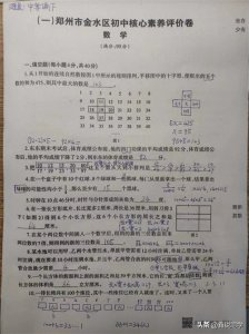 ​小升初专题：郑州市小升初真题卷1