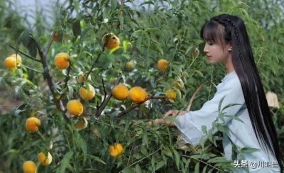 ​李子柒年收入过亿，她卖的是什么？搞懂这3点，找到自己赚钱的路