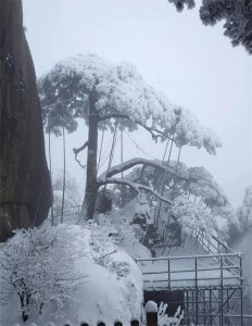 ​如何赚点外快