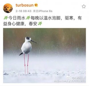 ​靳东又被网友喊出来更新微博了，只是这次的配图有点不太一样啊