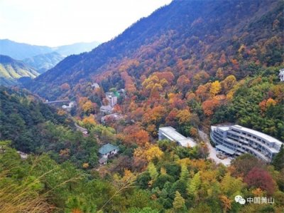 ​【黄山人带你游黄山】蔡季安：黄山温泉秋色