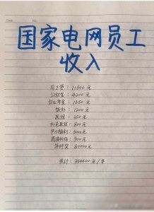 ​据说国家电网是个极好的工作选择。不知您是否知晓他们的年终奖金