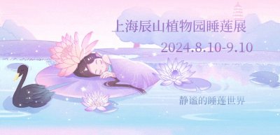 ​9月7日至9月10日，教师可免费游辰山！