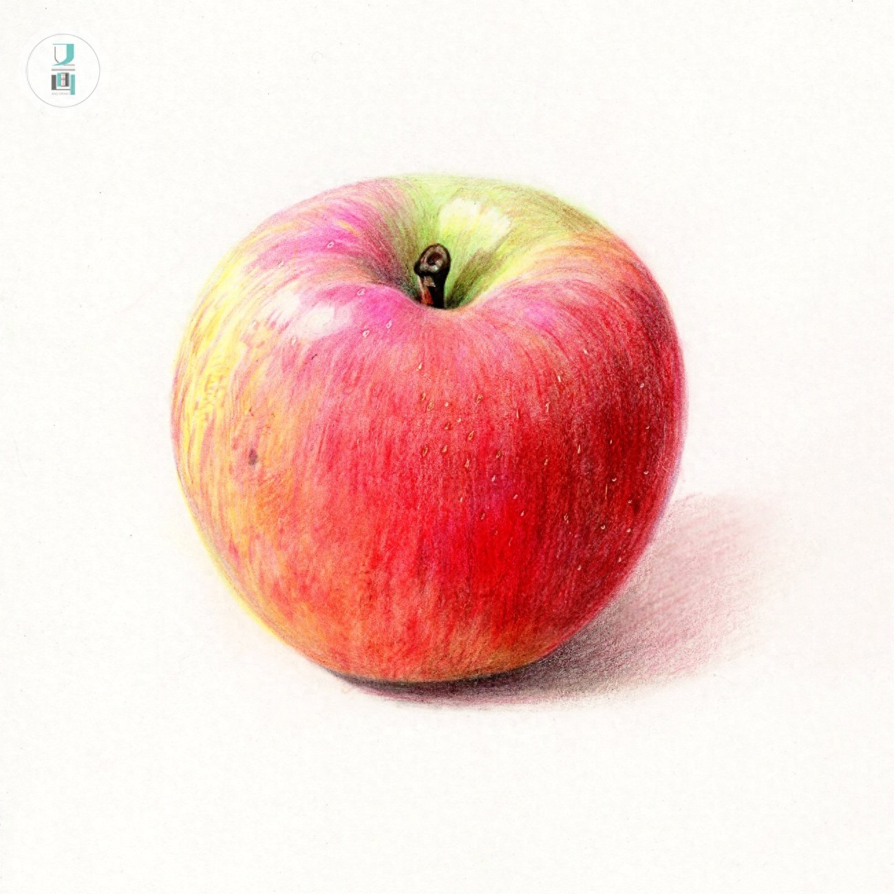 彩铅初学者临摹素材分享