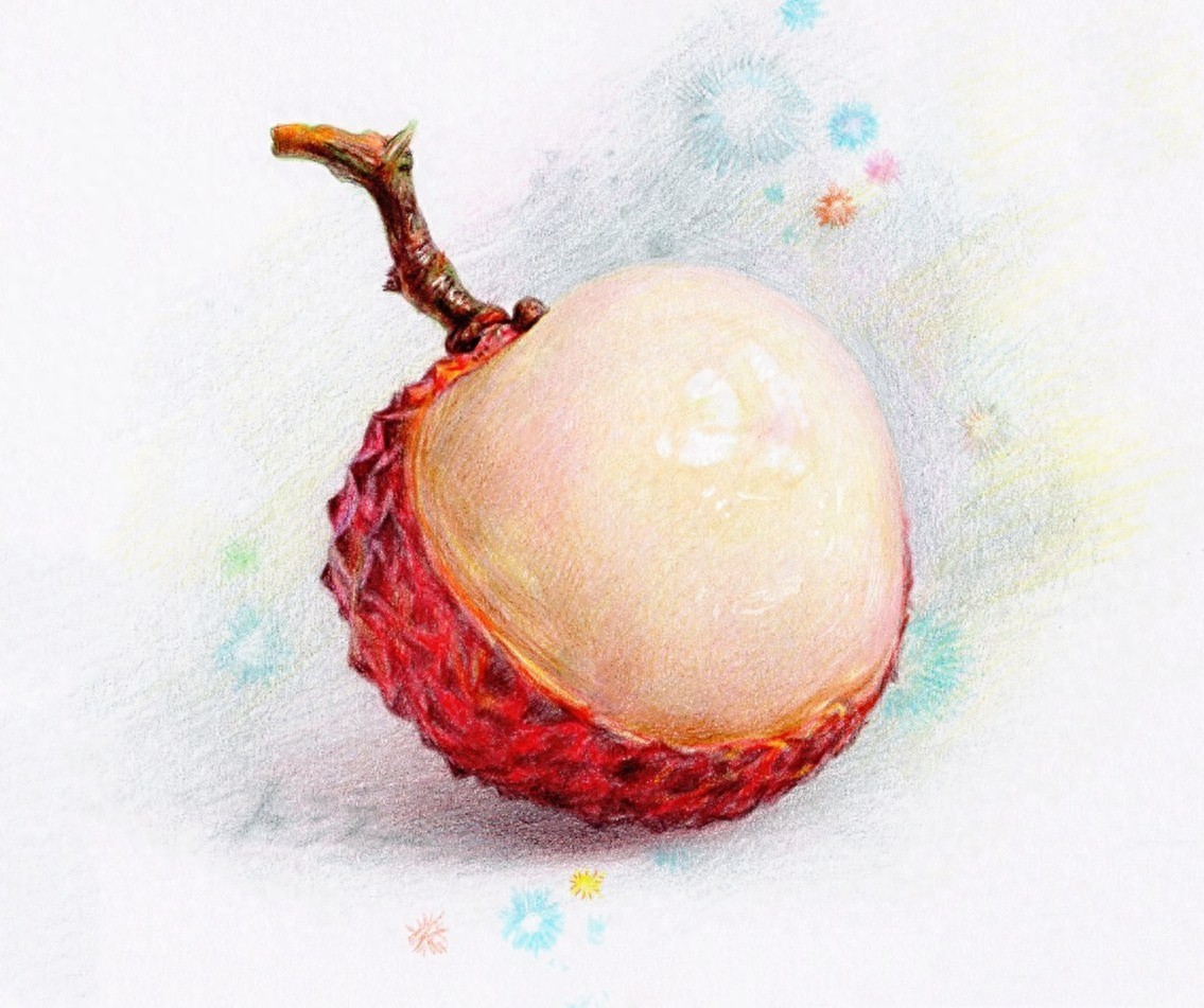 彩铅初学者临摹素材分享