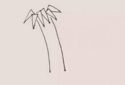 ​儿童简笔画教程-茂盛的竹子，让孩子了解自然的秘密