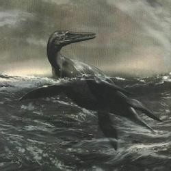 四大最危险的远古海洋生物之一——上龙。