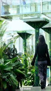 ​打卡日照海洋公园，邂逅多彩自然世界