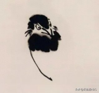 ​如何画喜鹊，正面背面步骤解析