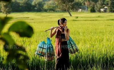 ​性侵案中不可忽视的群体：农村留守妇女。被侵犯后成为情人｜旧案