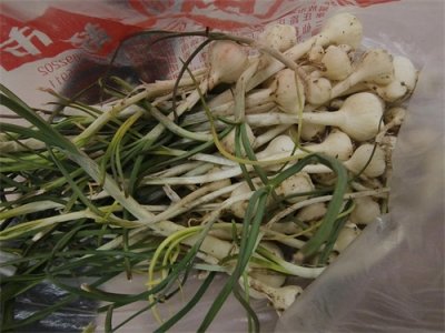 ​在河南小蒜这样做，你一顿能多吃两个馍！