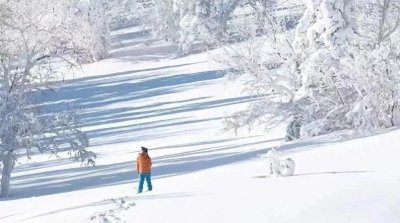 ​心若阳光，流年无殇，你若无恙，岁月静好