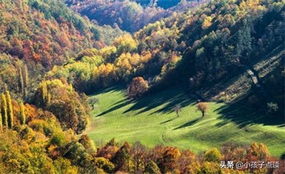 ​岔道造句和解释_岔道的例句有哪些 - 小孩子点读