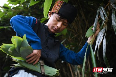 ​湖南常宁：小小箬叶助增收