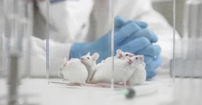 ​你知道动物实验的价值与意义吗？