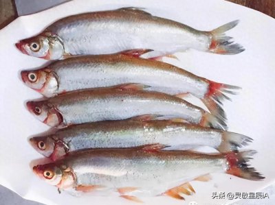 ​松花湖三花一岛