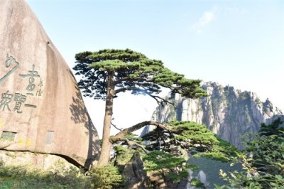 ​屯溪和黄山市、黄山区、黄山风景区，来安徽黄山到底该怎么导航