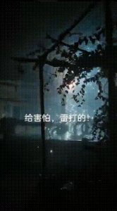 ​一个“大炸雷”后，昆明一根电杆瞬间火花四射